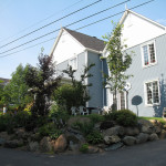 ruecliff431